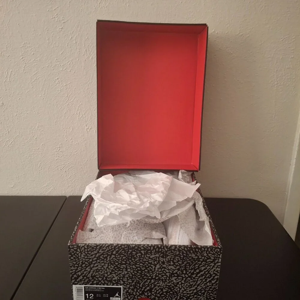 Size 12 - Air Jordan 3 Retro 2025 Pure Money - Picture 9 of 9